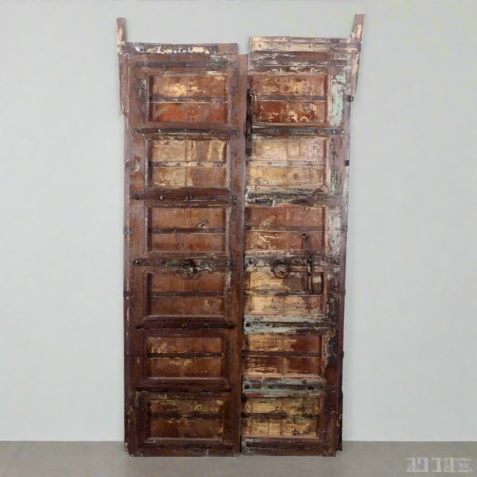Indian Rajasthani Antique Doors