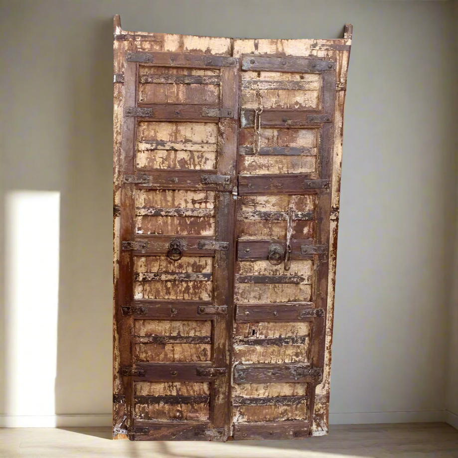 Indian Rajasthani Antique Doors