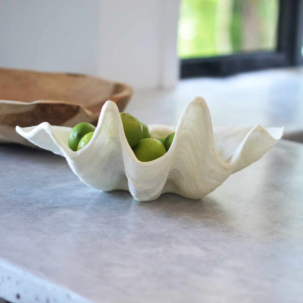 White Decorative Clam Shell