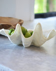 White Decorative Clam Shell