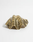 Contour Brass Clam Shell 24cm