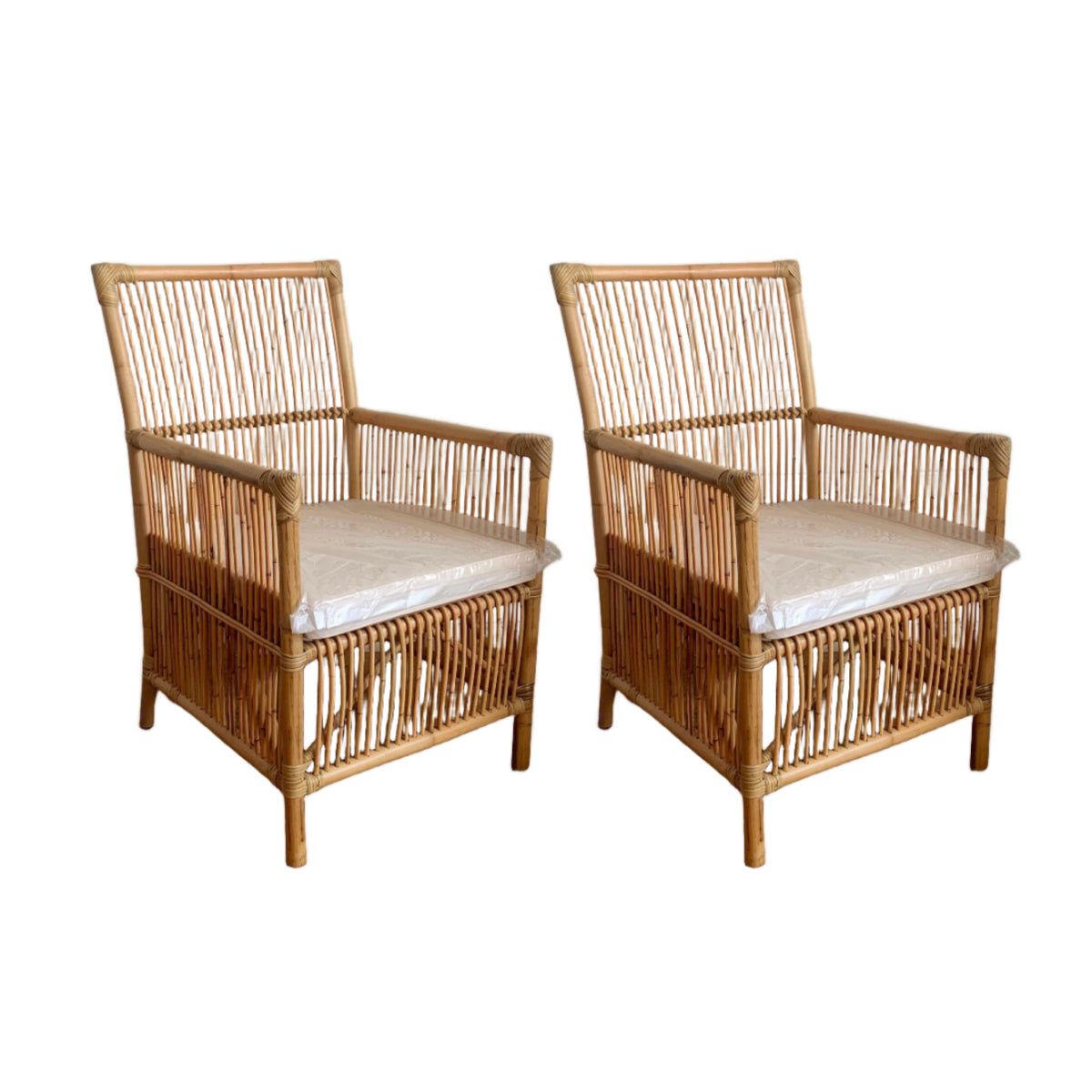 Cove Rattan Chair - Set of 2