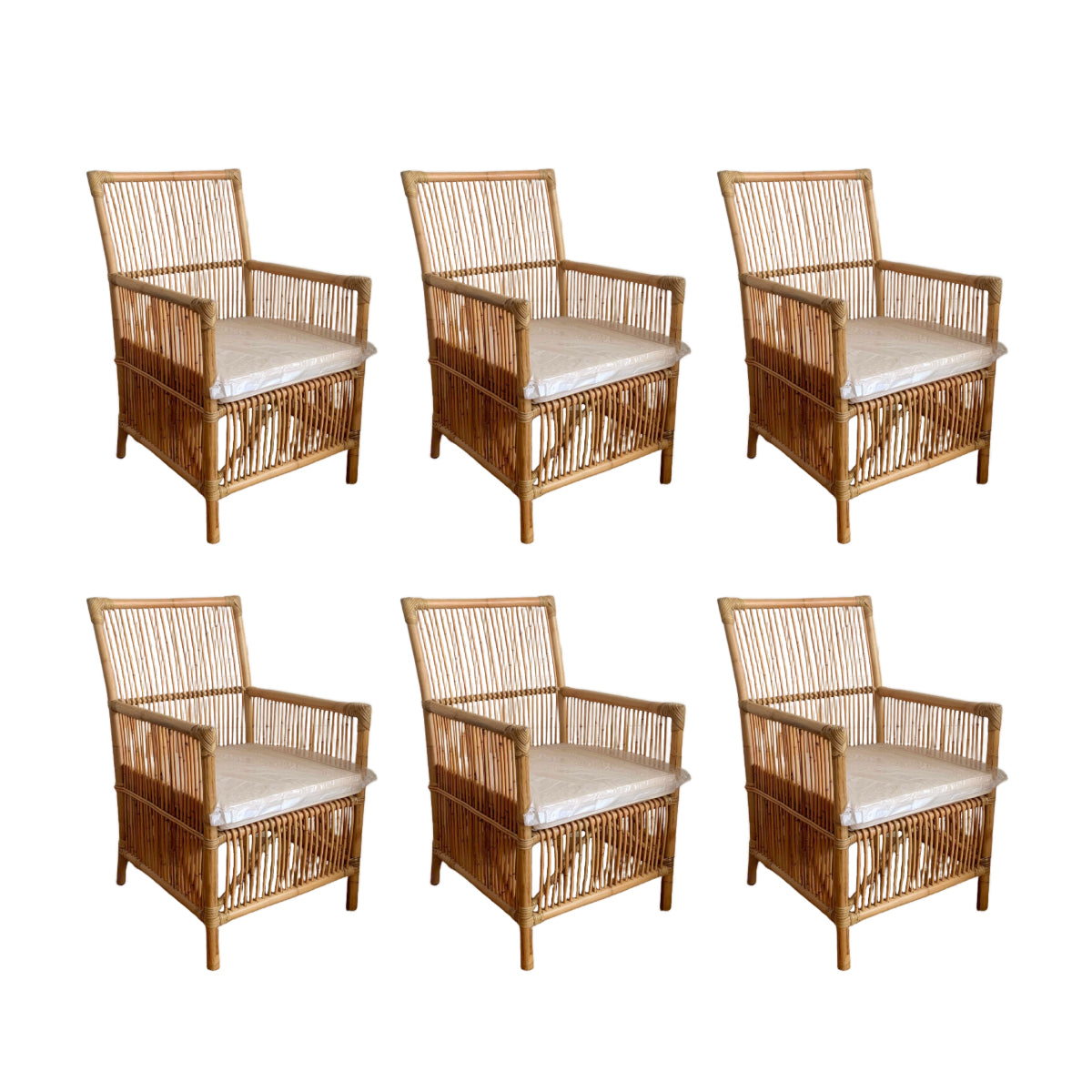 Cove Rattan Chair - Set of 6