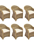 Rattan Curved Grey Arm Chair - Set of 6