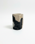 Fossilised Wood Tooth Brush Holder