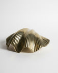 Linear Brass Clam Shell 24cm