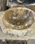 Natural Fossilised Wood Basin 04 - 40 x 34.5 x 14.5cm