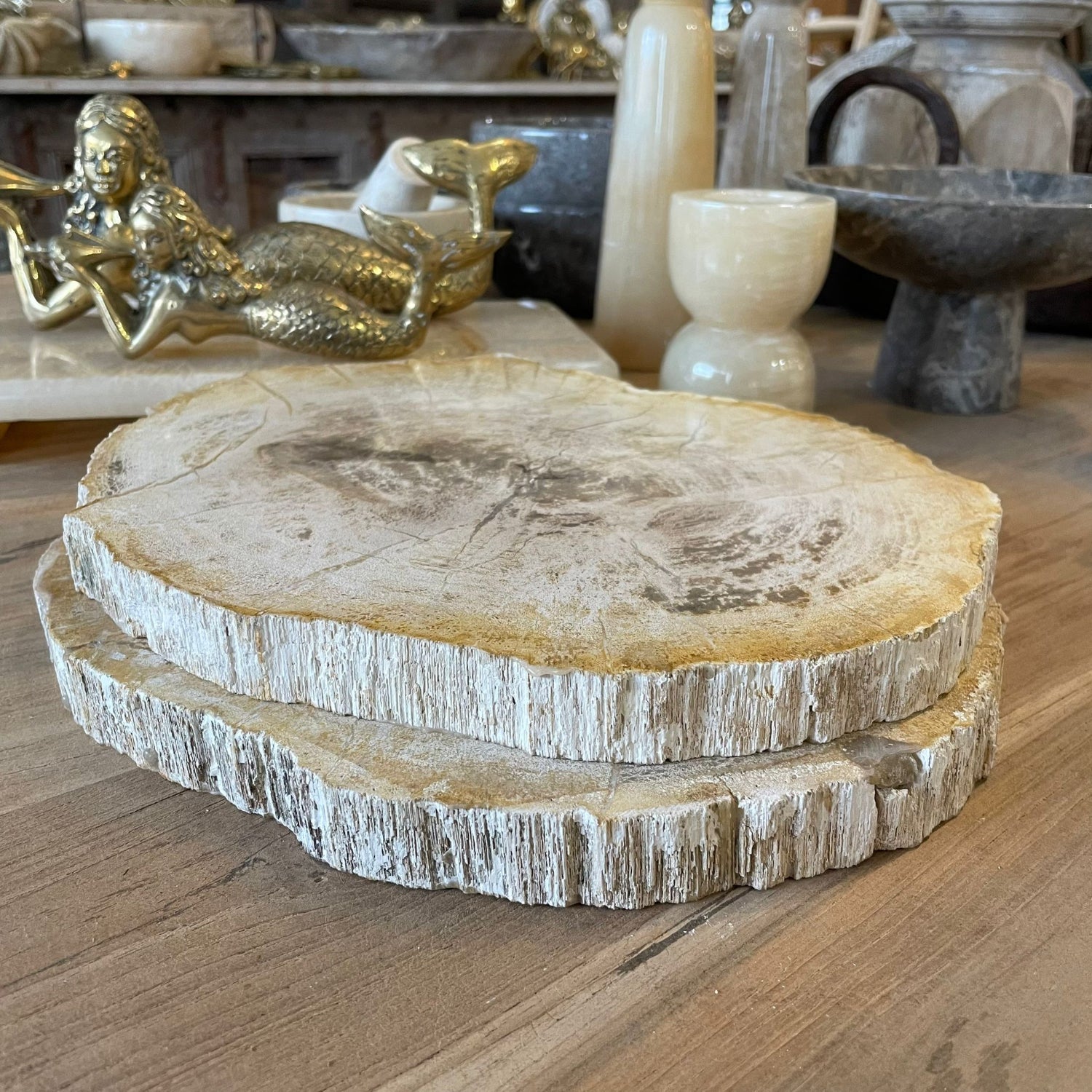 Fossilised Wood Tray
