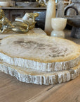 Fossilised Wood Tray