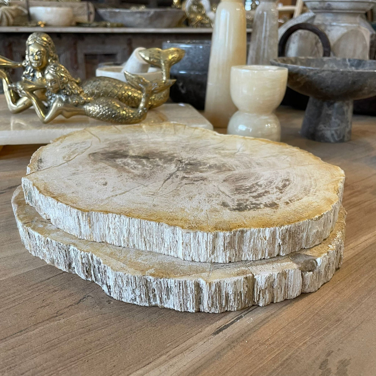 PetrifiedTimberStoneTrayParadi