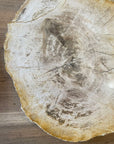Fossilised Wood Tray
