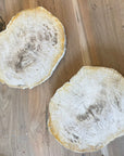 Fossilised Wood Tray