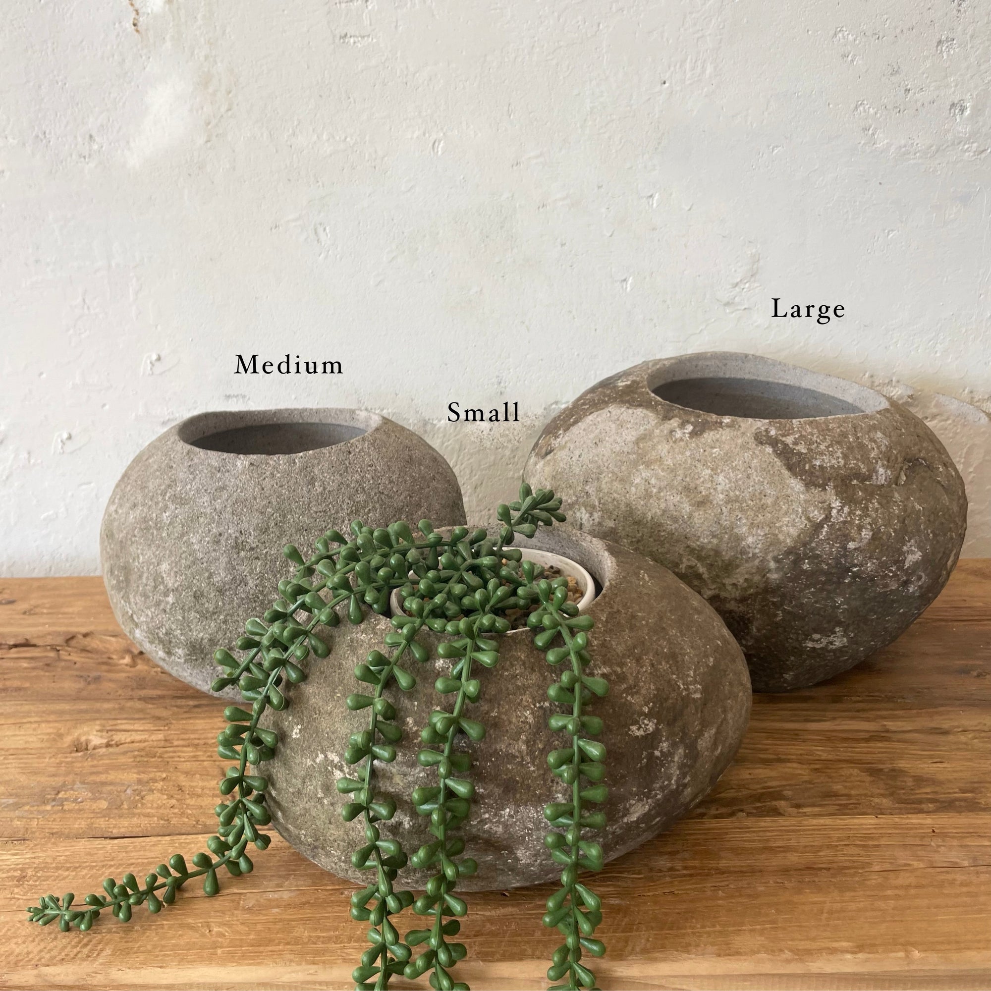 Small River Stone Pot Plant