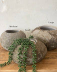 Medium River Stone Pot Plant