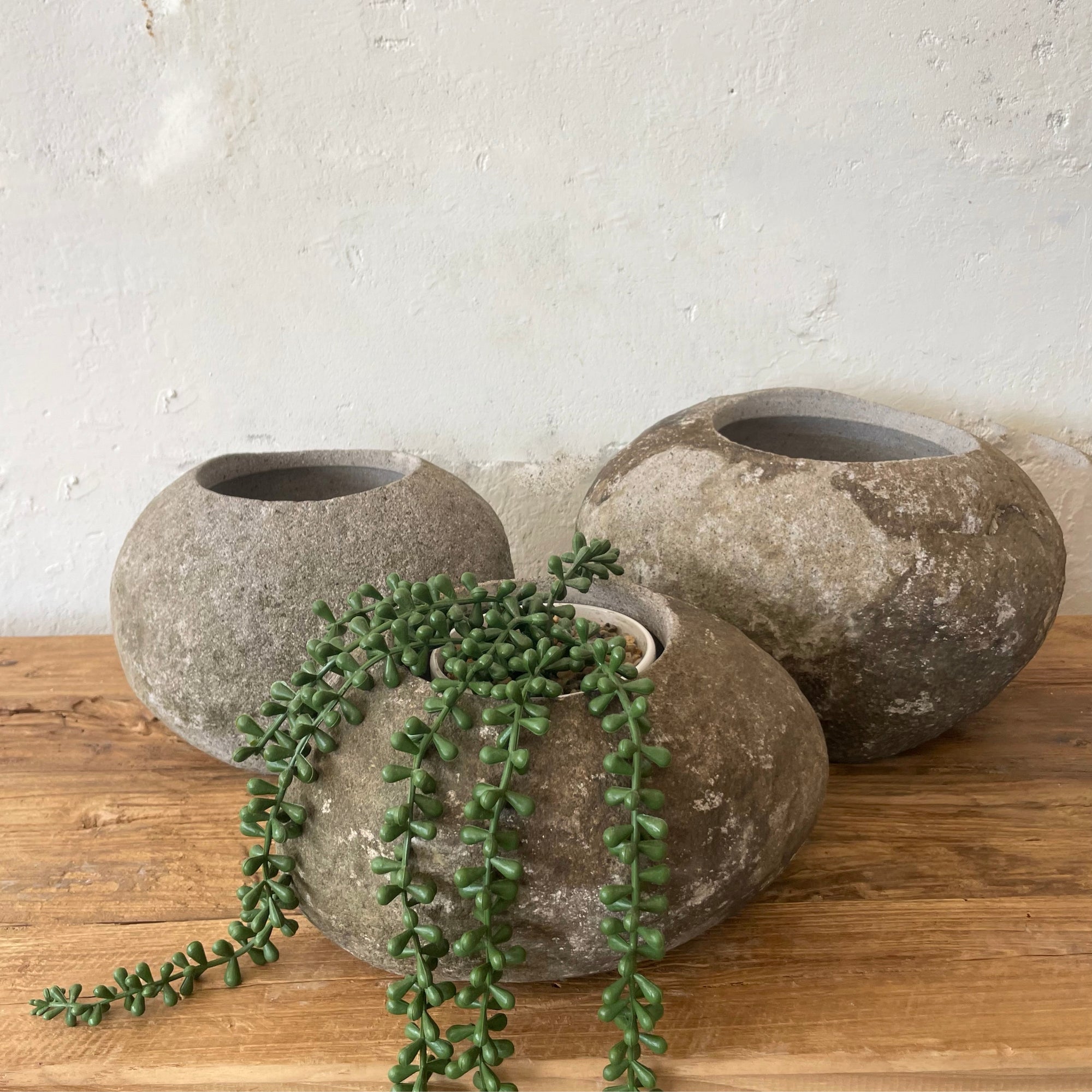 Small River Stone Pot Plant