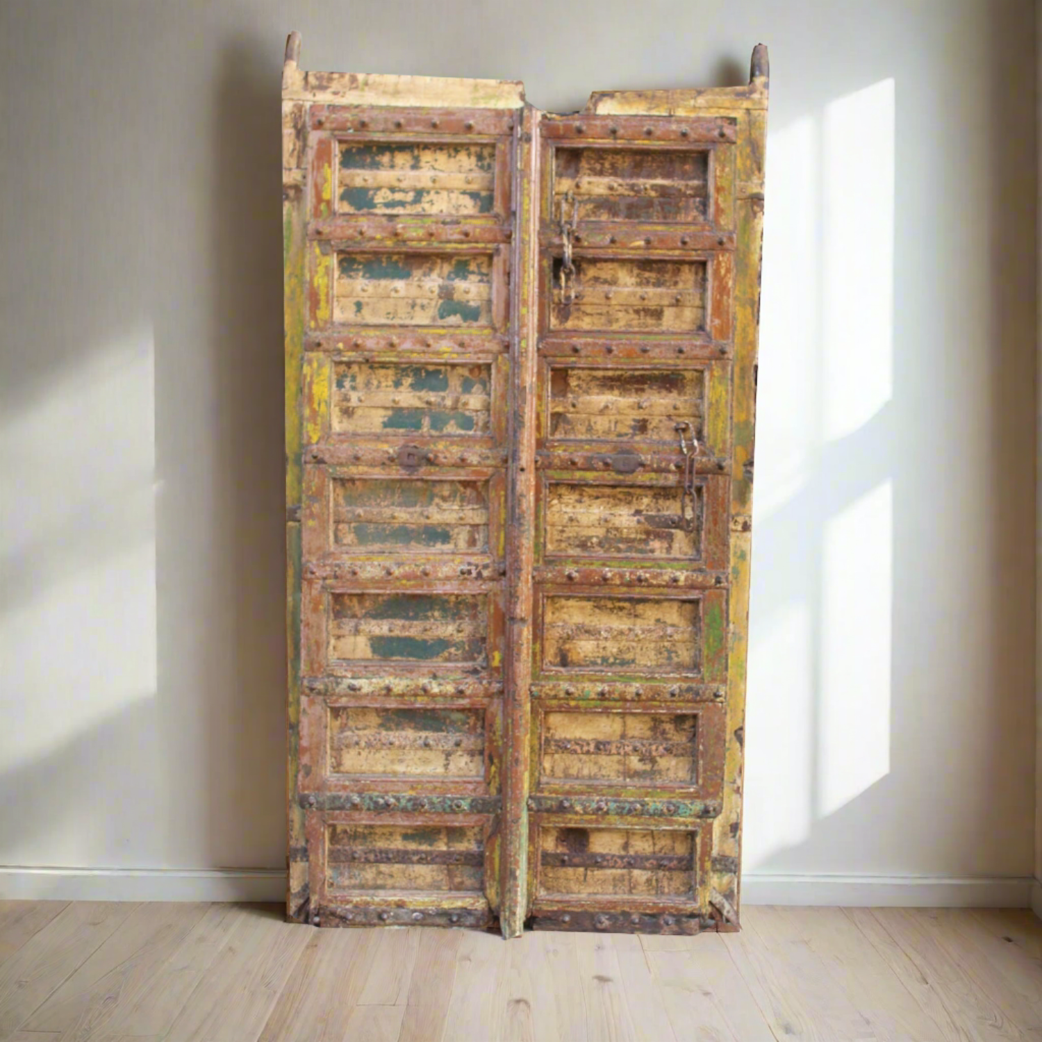 Indian Rajasthani Antique Doors