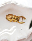 Brass Beetle Bottle Opener