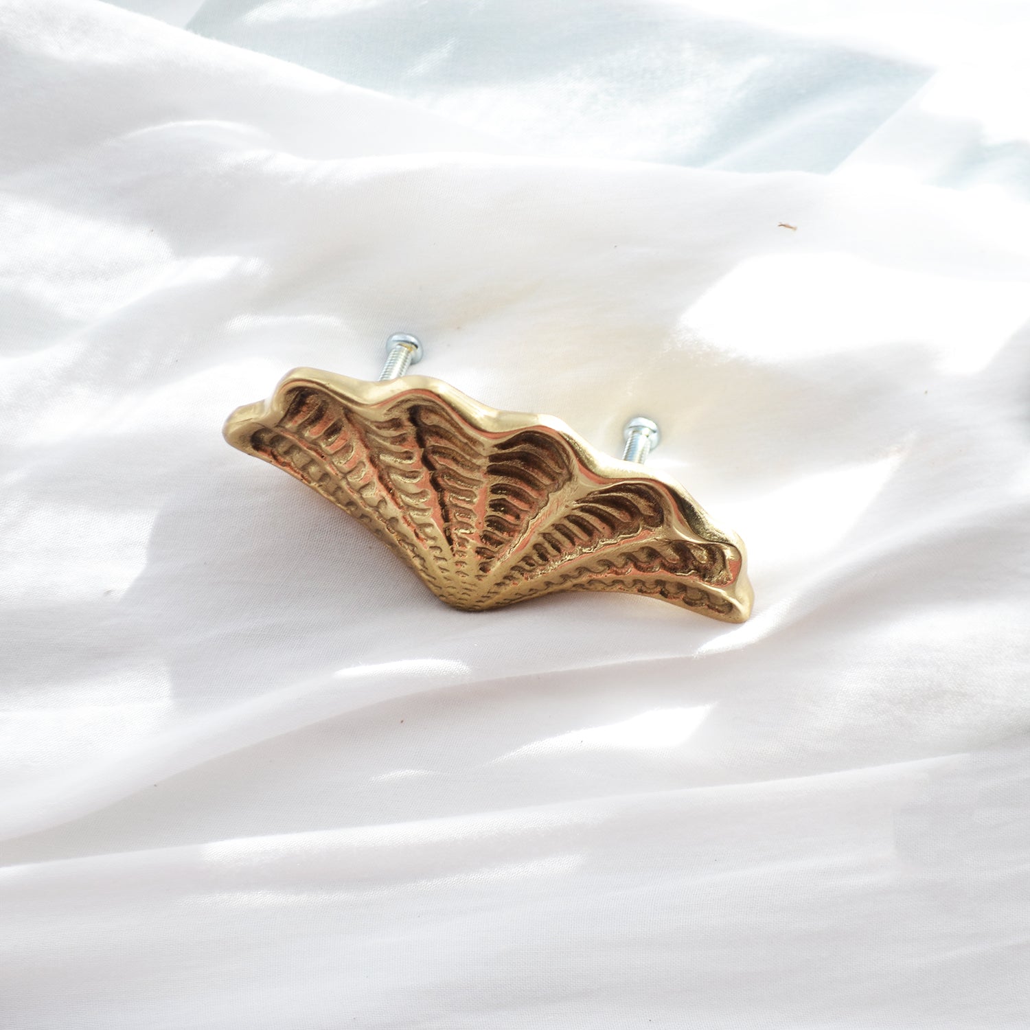 Brass Shell Drawer Handle