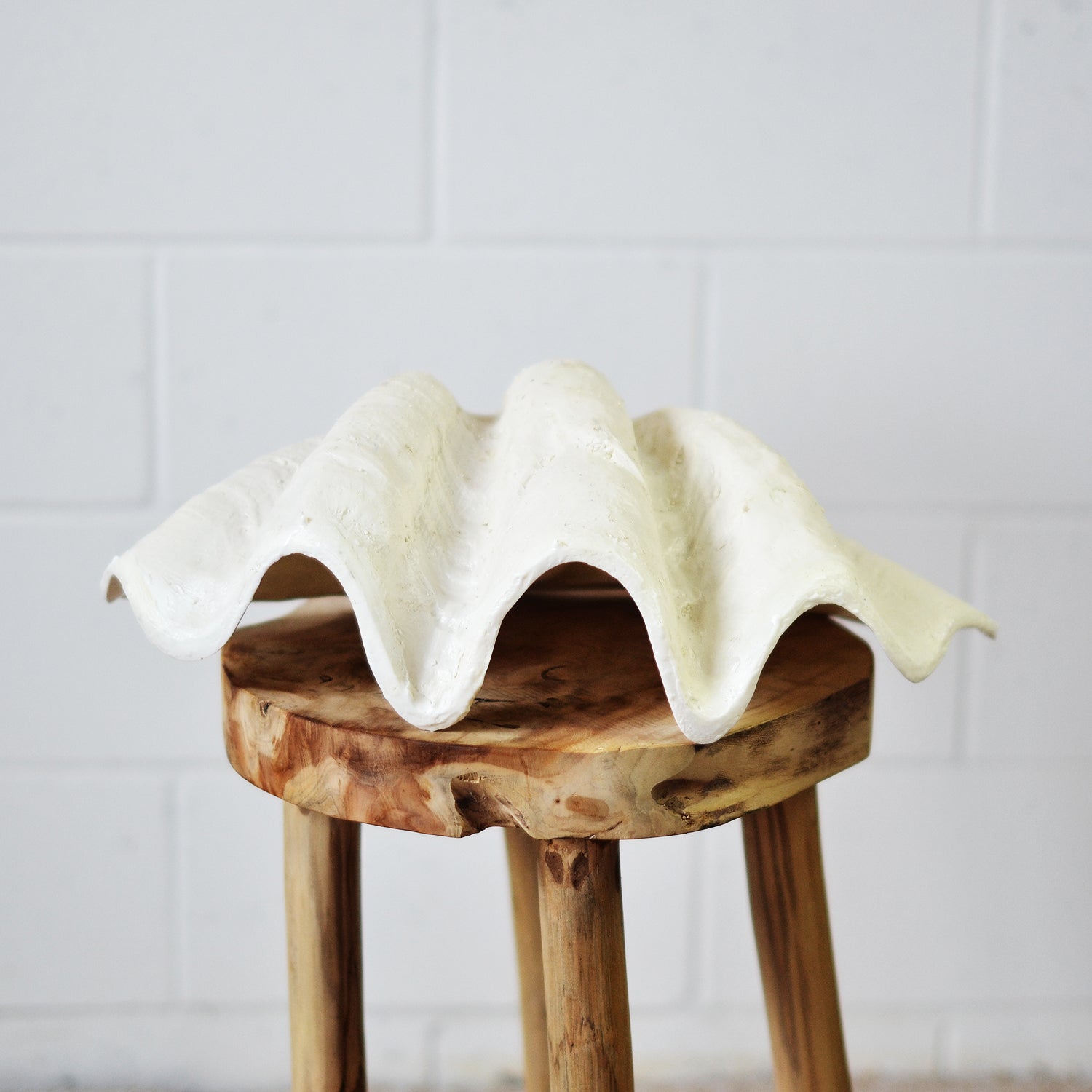White Decorative Clam Shell
