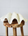 White Decorative Clam Shell
