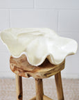White Decorative Clam Shell