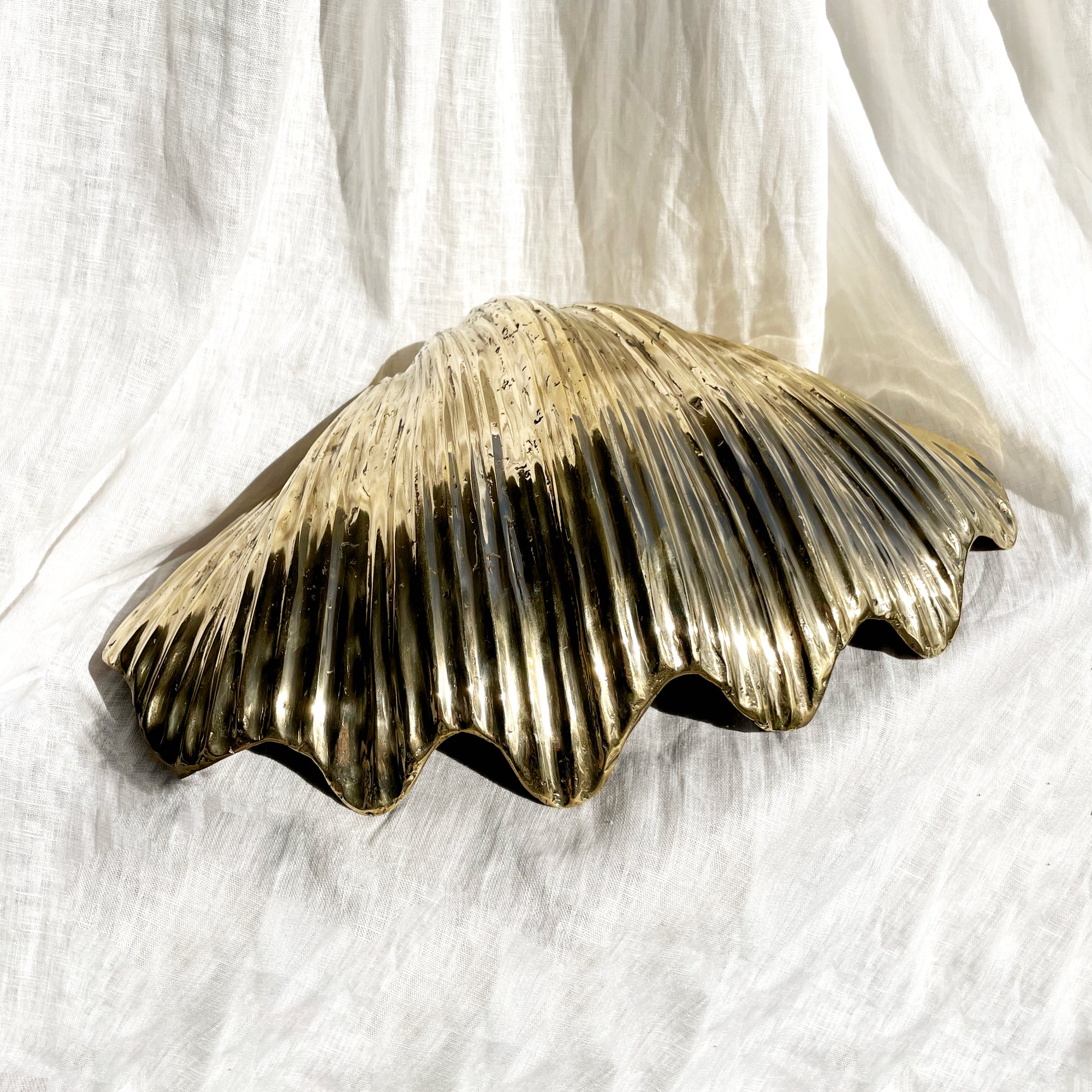 Grand Linear Brass Clam Shell 45cm