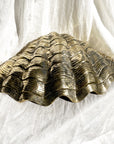 Grand Contour Brass Clam Shell 45cm