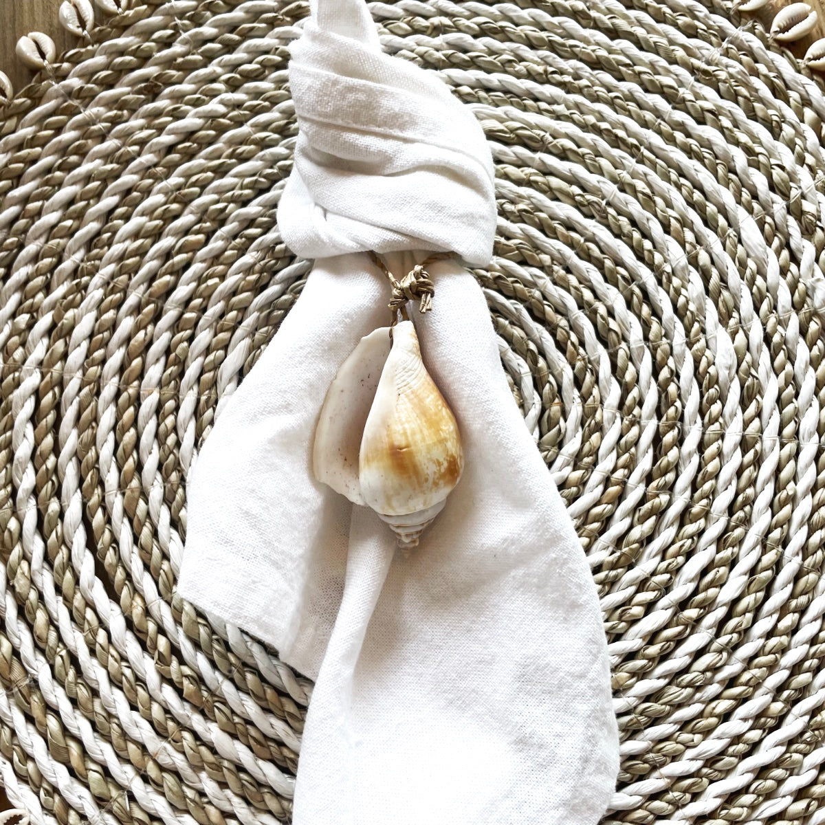 Hanging Shell Ornaments