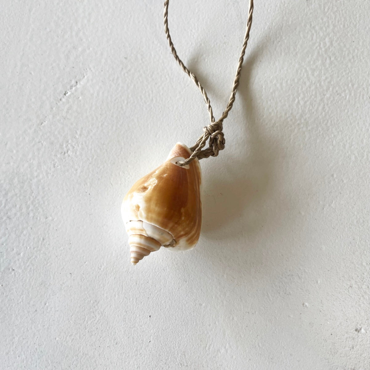 Hanging Shell Ornaments