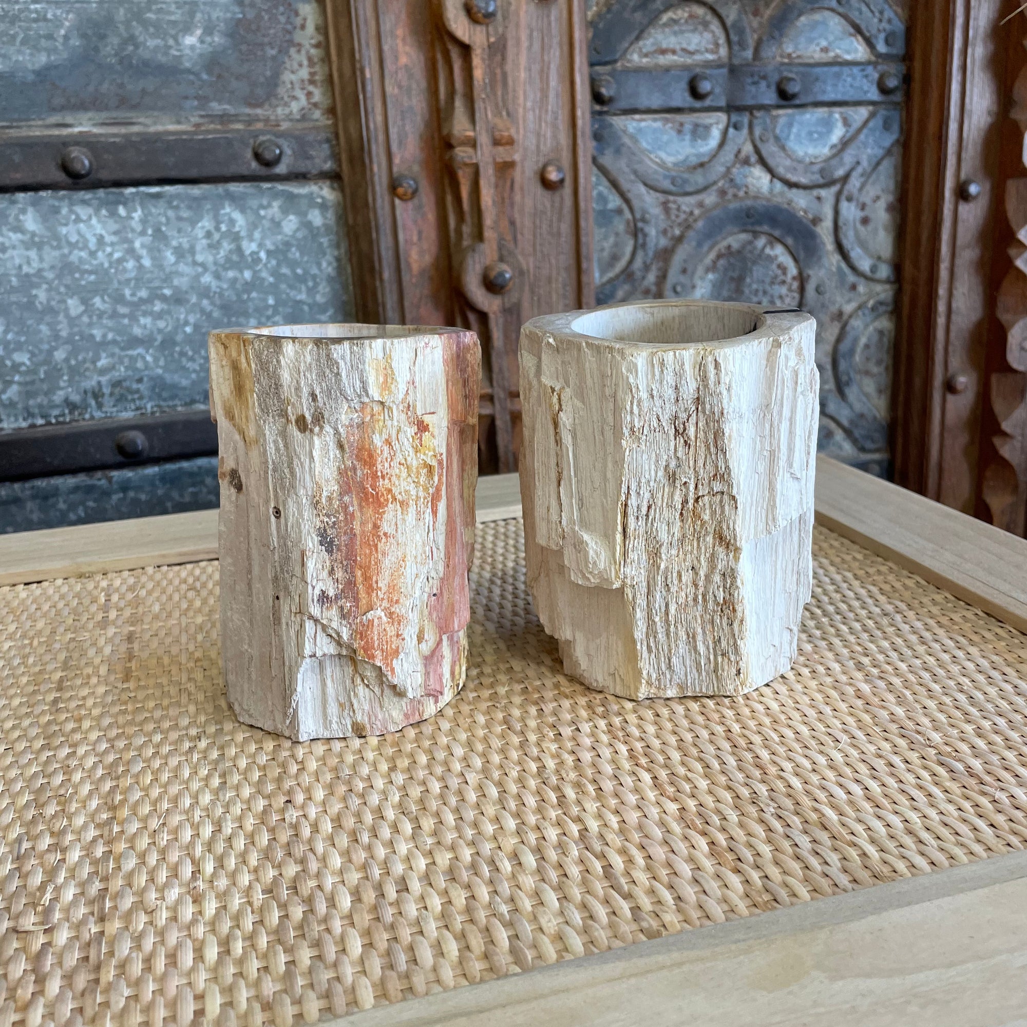 Fossilised Wood Tooth Brush Holder