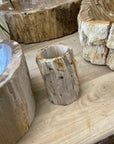 Fossilised Wood Tooth Brush Holder