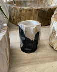 Fossilised Wood Tooth Brush Holder