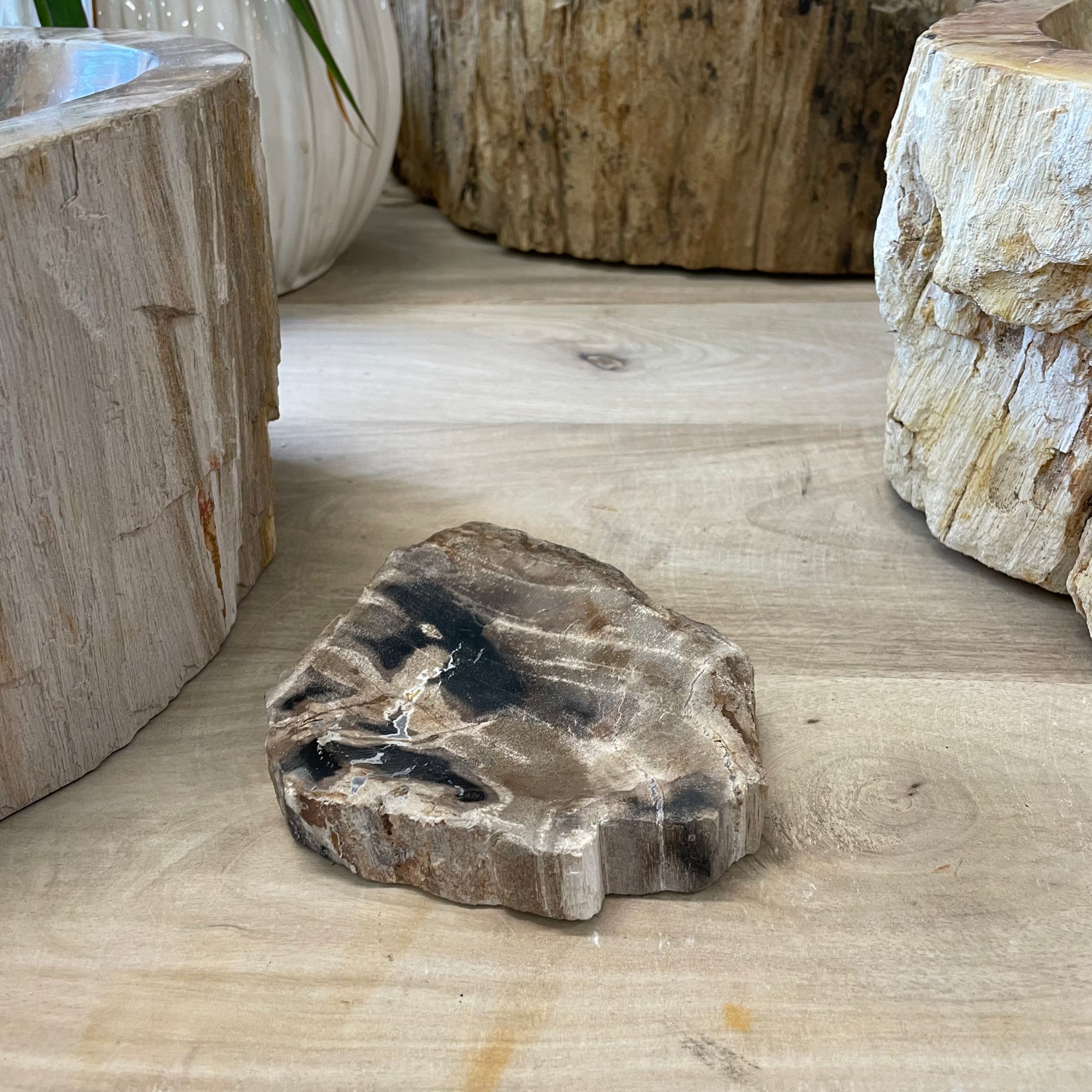 Fossilised Wood Soap Dish