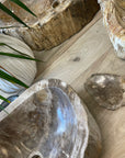 Fossilised Wood Soap Dish