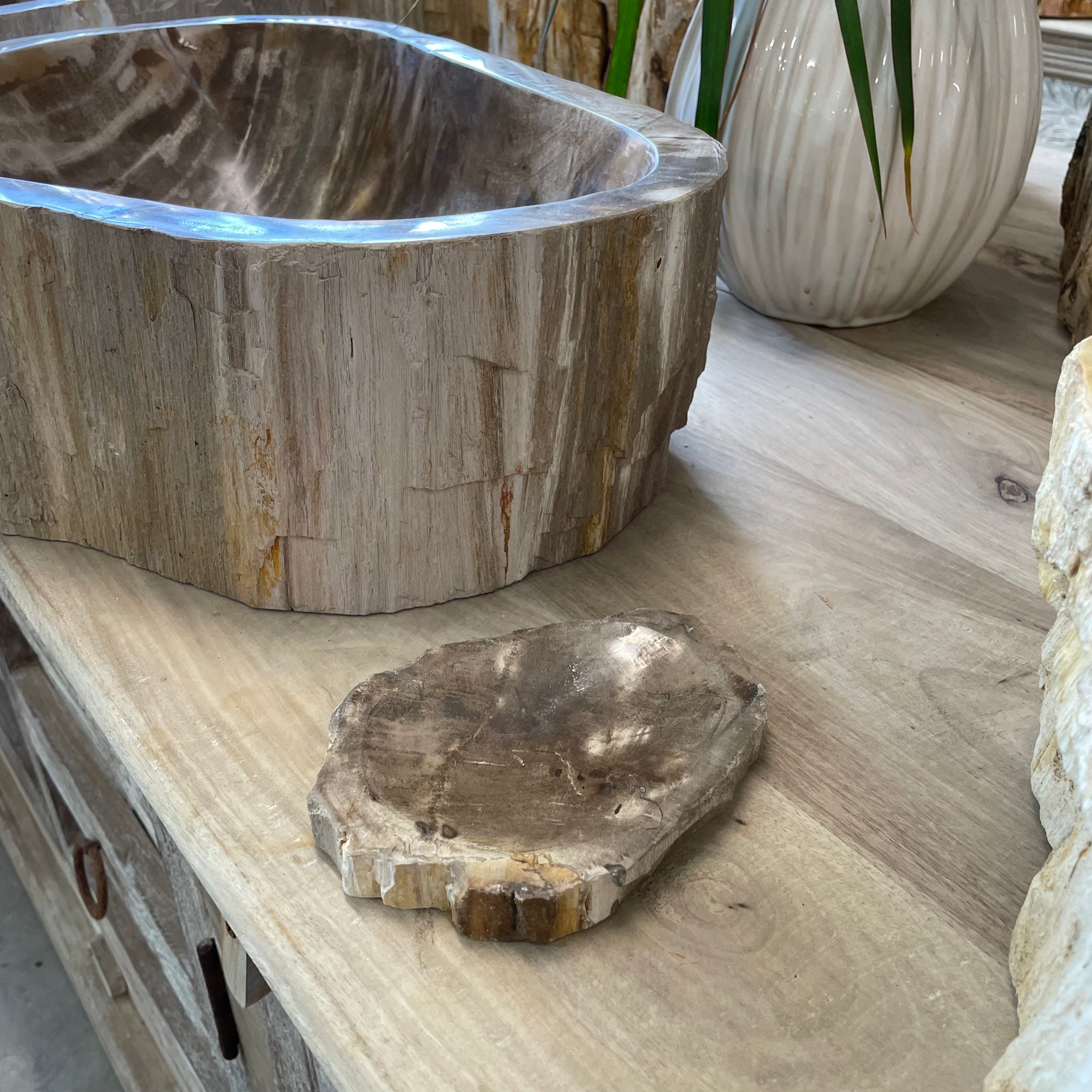 Fossilised Wood Soap Dish
