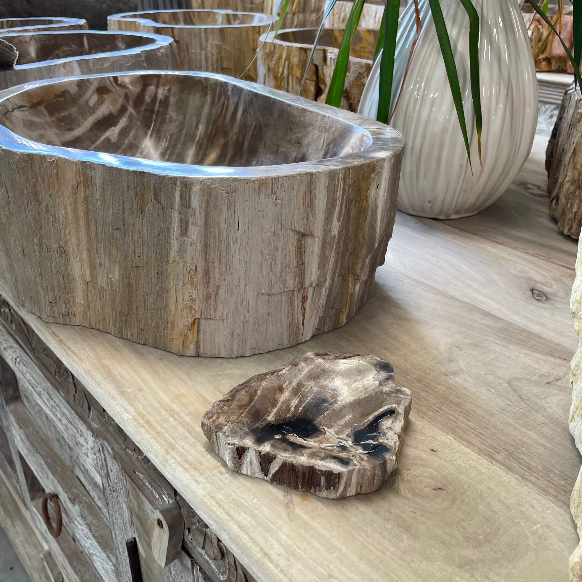 Fossilised Wood Soap Dish