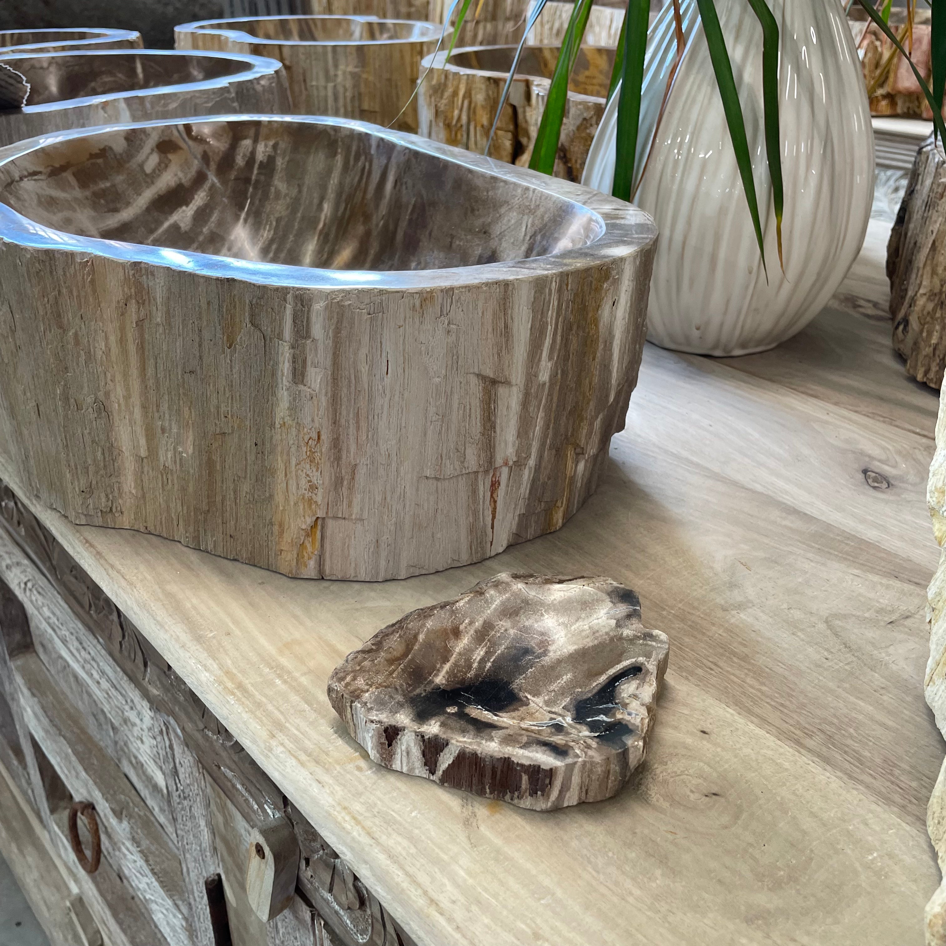 Petrified Timber Stone Soap Dish