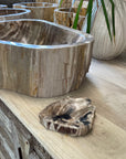 Fossilised Wood Soap Dish