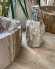 Fossilised Wood Soap Dispenser