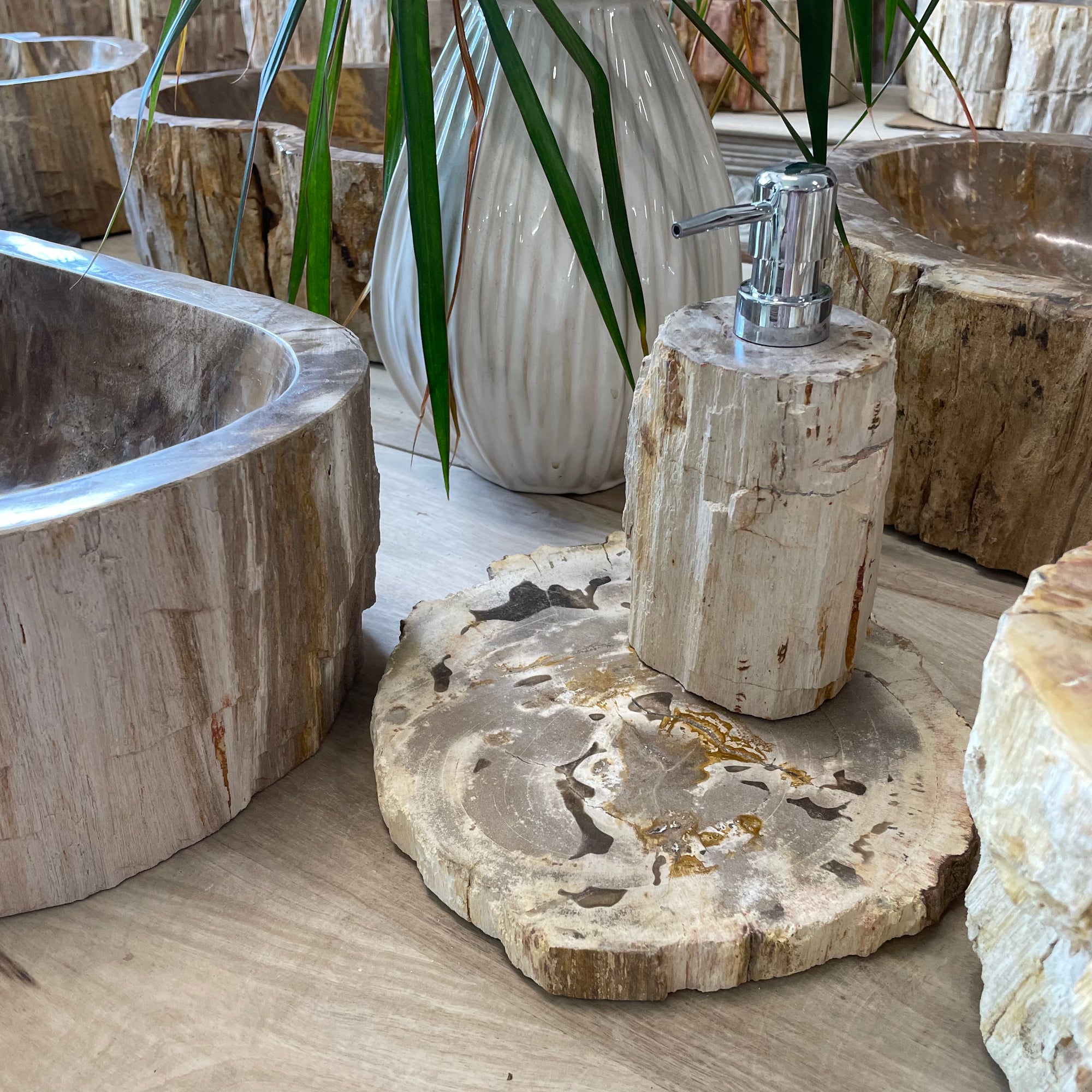Fossilised Wood Tray