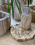 Fossilised Wood Tray