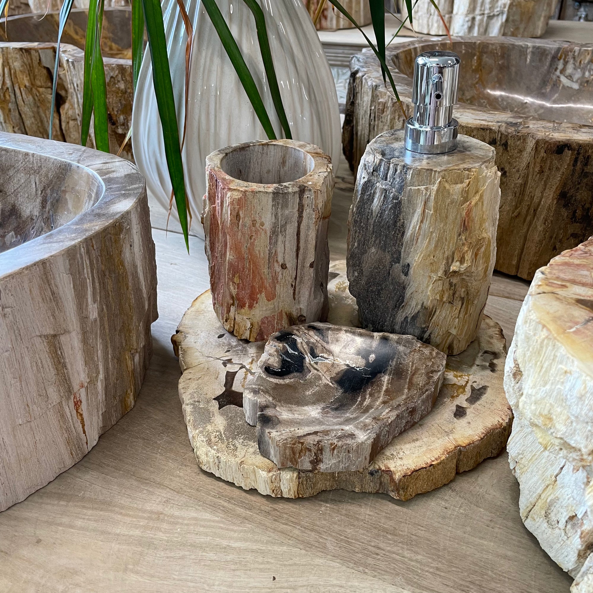 Fossilised Wood Tray