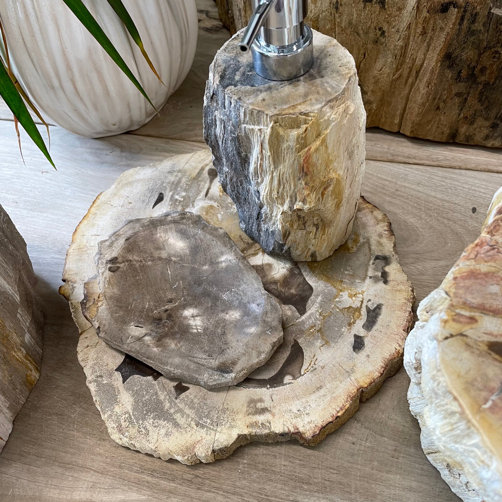Fossilised Wood Tray