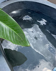 Oval Full Polished Natural Stone Bath | Pre Order