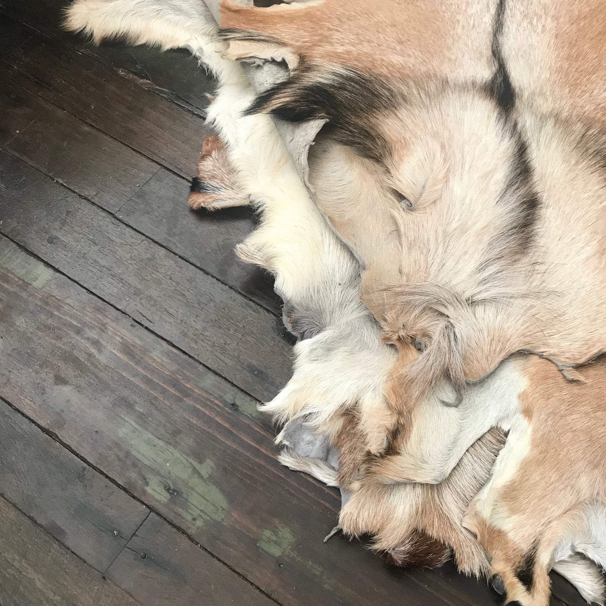 Large Goat Hide Rug
