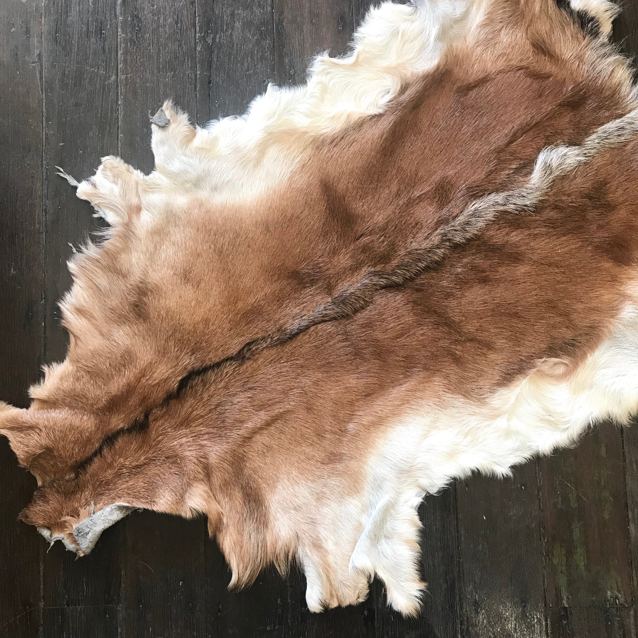 Large Goat Hide Rug Paradise Living Co 