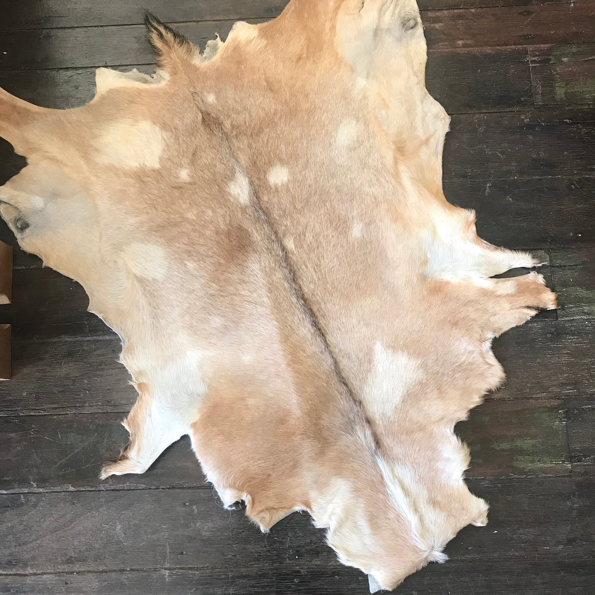 Goat Hide Rug