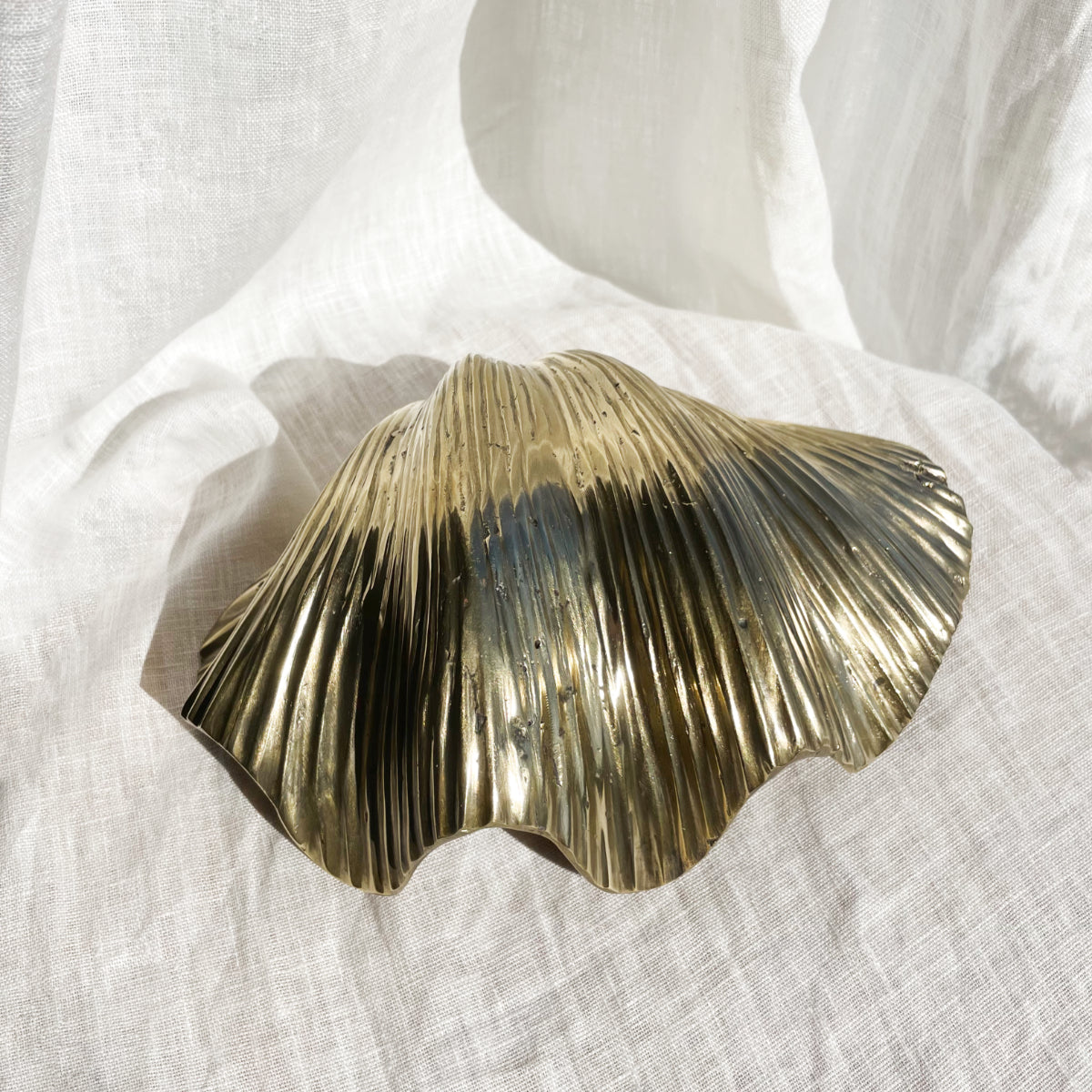Linear Brass Clam Shell 24cm