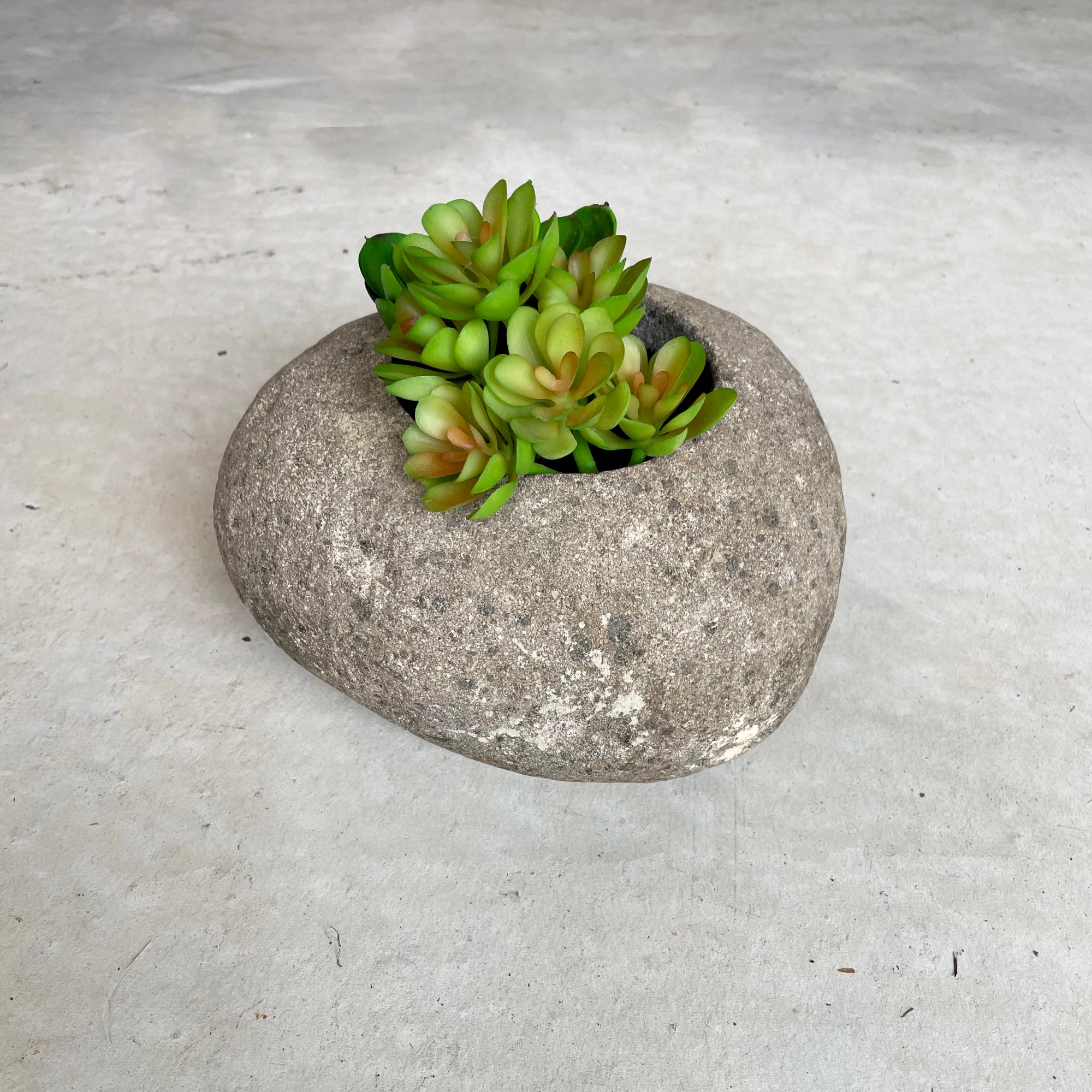Small River Stone Pot Plant