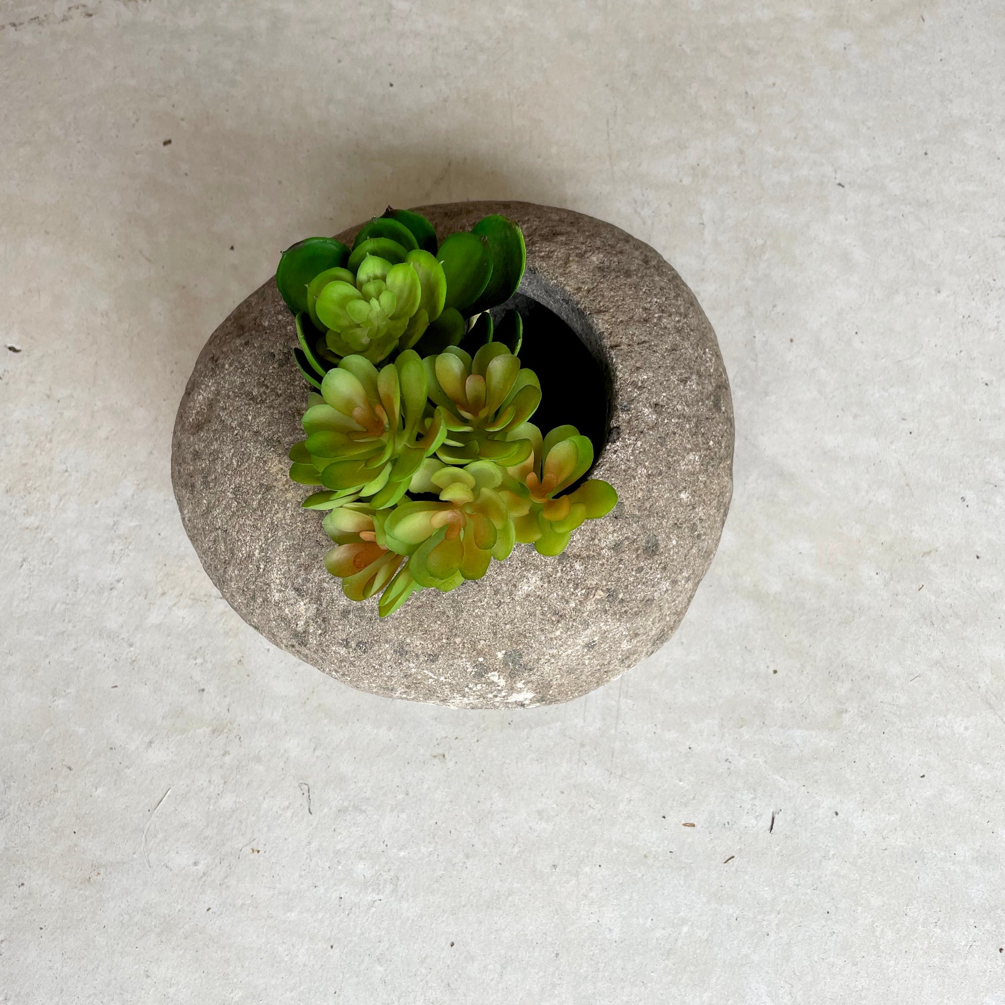Small River Stone Pot Plant